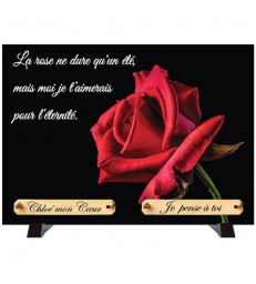 Plaque Funéraire "Rose rouge sur fond noir"
